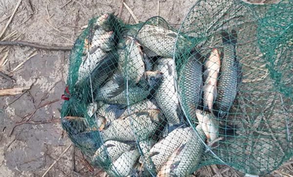  [雾天]过了霜降钓鱼要看天气，这些天气鱼最好钓，渔获肯定差不