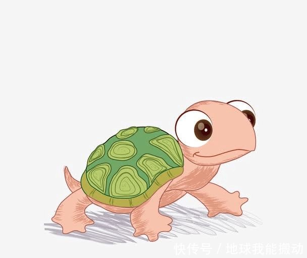 千年王八万年龟，下半句是什么这两句说的是什么意思