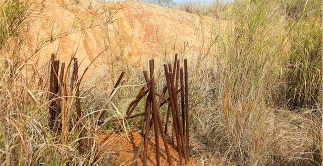 这座高速大桥投资47亿，如今却被迫荒废，村民还在桥上种了庄稼