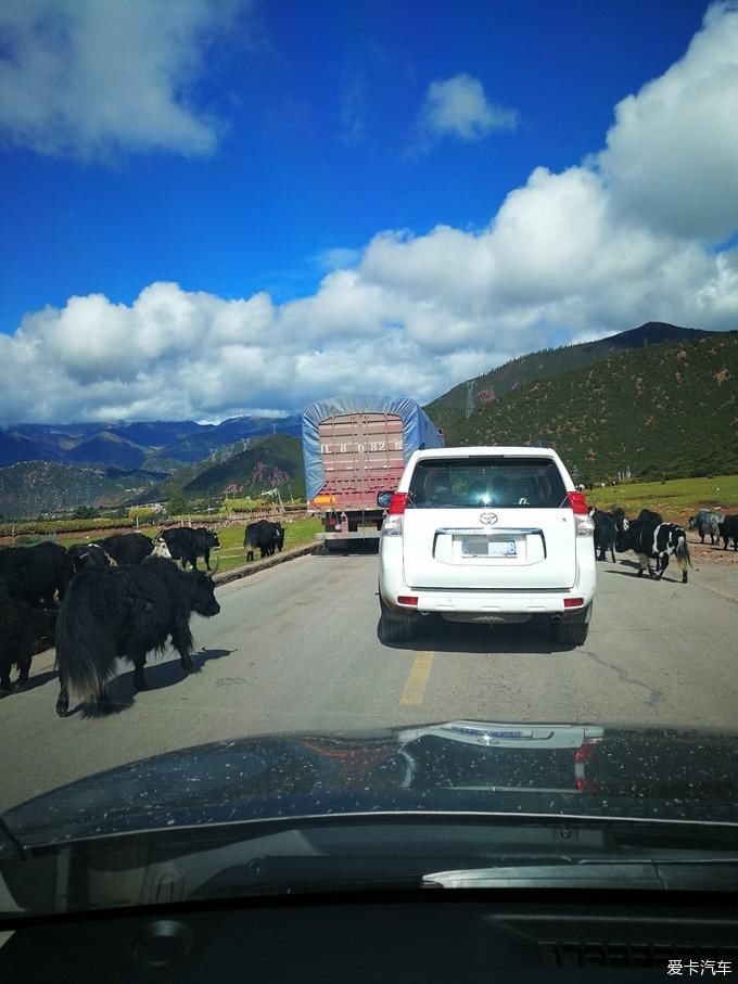 带着年迈父母去西藏，单车自驾奇骏，川进青出，13天7000公里~