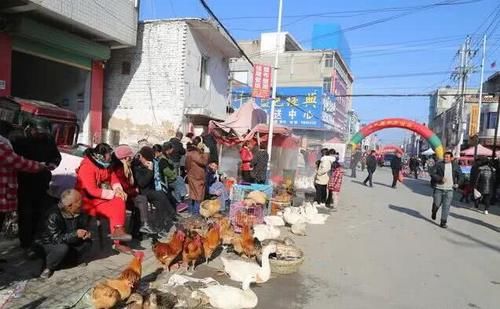  #宰杀#曾卖2元，如今成农村垃圾，有人却做起“免费买卖”，闯出