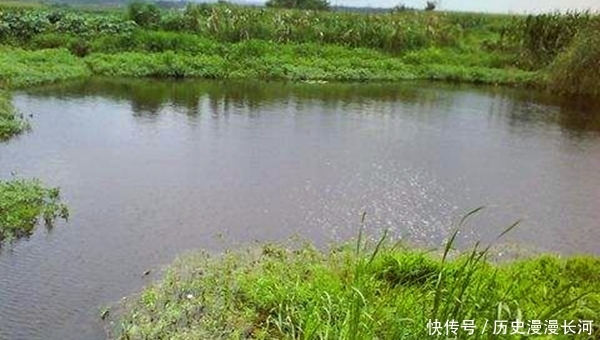 钓点成:立夏过后钓鱼,这些钓点成了必争之地,底下鱼儿扎堆,下竿就上鱼