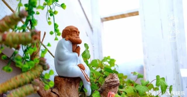  #喜欢#一粥一饭填饱肚子，一屋一花神仙日子！生命不止，玩趣不停！