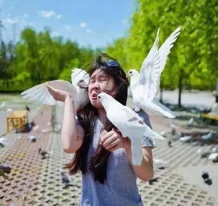 「样子」有个不会拍照的男朋友是种什么体验?哈哈哈哈哈哈哈!
