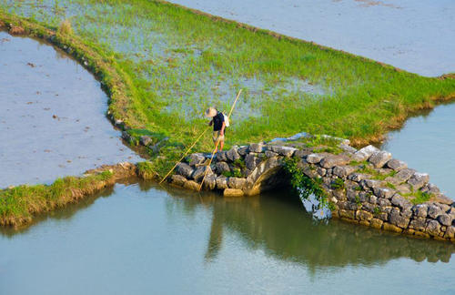 桂林的春天有多美？