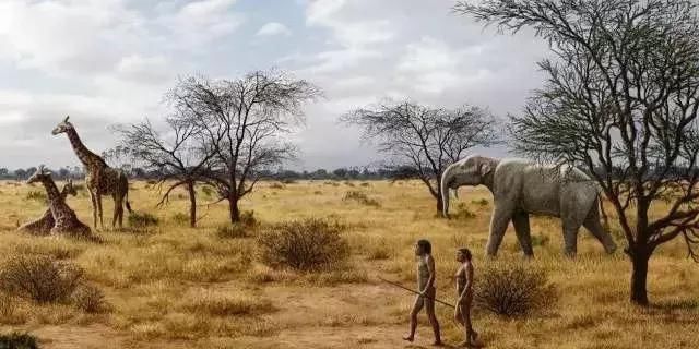  「消失」3000年的玛雅文明, 为何突然神秘消失? 因为地下水源耗