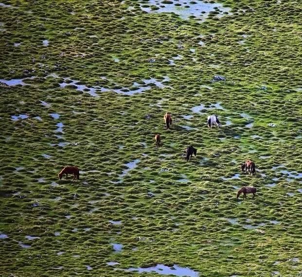 中国最美的10大风光