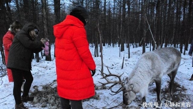 我国最早进入冬天的四座旅游城市：此时已达零下，必须穿毛裤了