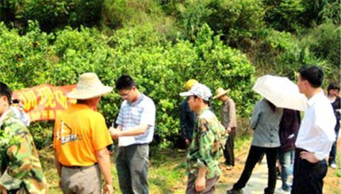  留在@未来几年农村这几类人，留在村里将有一番作为，看看里面有