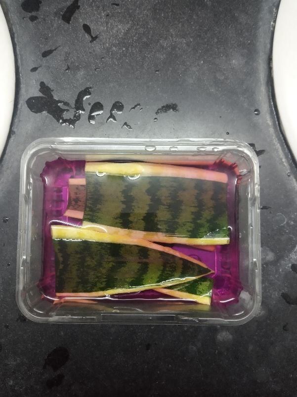 扦插■只用叶子也能扦插,这花把叶子剁5段,插到土里就能长成5盆花