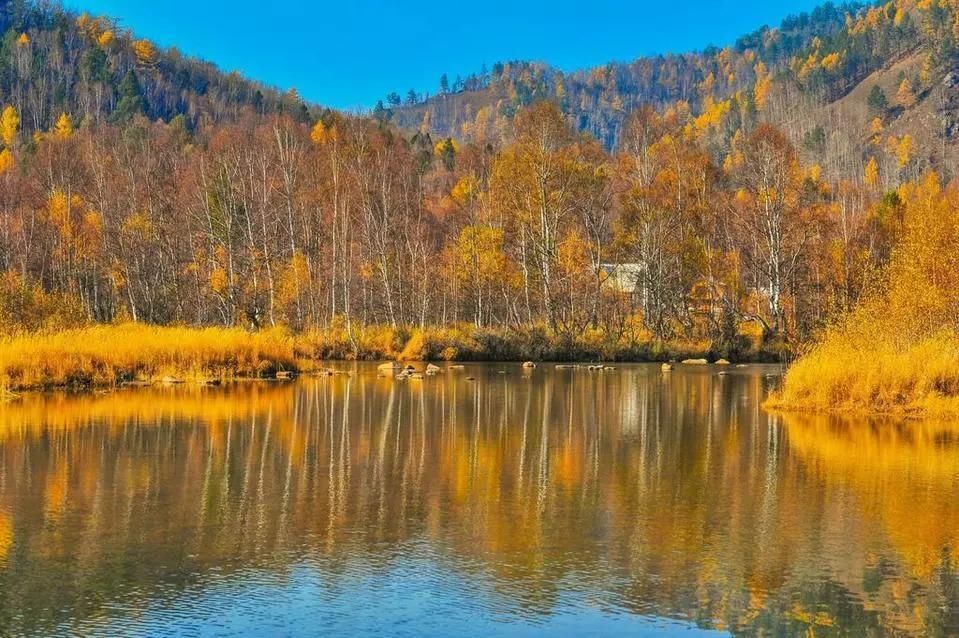 再过半个月,贝加尔湖的秋简直要逼疯摄影师!