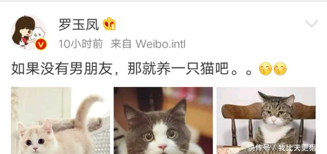 凤姐为李小璐洗白评论区传出她要退出网红圈的消息，真的假的