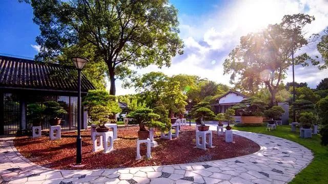 国内最大的专类盆景园,江南园林海派风格美不胜收