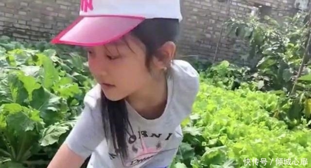 贾乃亮没给李小璐过生日