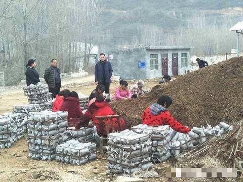  【人称】人称“陆地鱼”，20斤晒干仅剩2斤，一斤900元，野生的