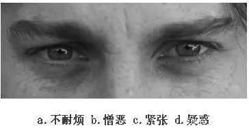 看眼神,猜情绪,测情商,给自己的情商定个级,
