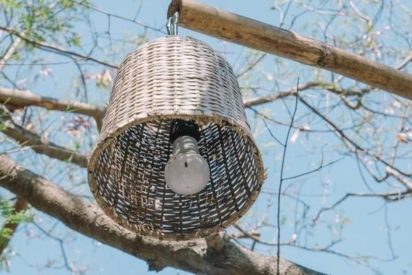 “廉价版”的马尔代夫，海水堪比翡翠，你去过吗？