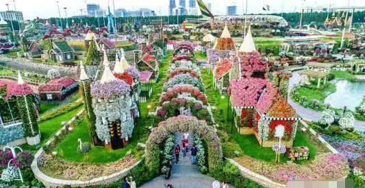 迪拜再创世界之最！4500万朵鲜花打造世界最大花园，网友：美呆了