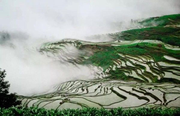 大促299元超值抢购元阳599自由行套餐