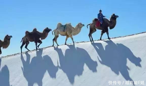 甘肃沙漠居然下雪了, 刚拍的! 简直美到爆! 一组照片惊艳全国~