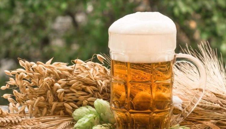  #喜欢#乡下一种野草，浑身是刺，以前农民不喜欢，现在20一斤，