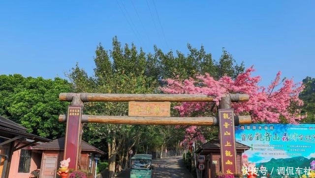 又是一年花开时，到东莞观音山看漫山红遍，层林尽染