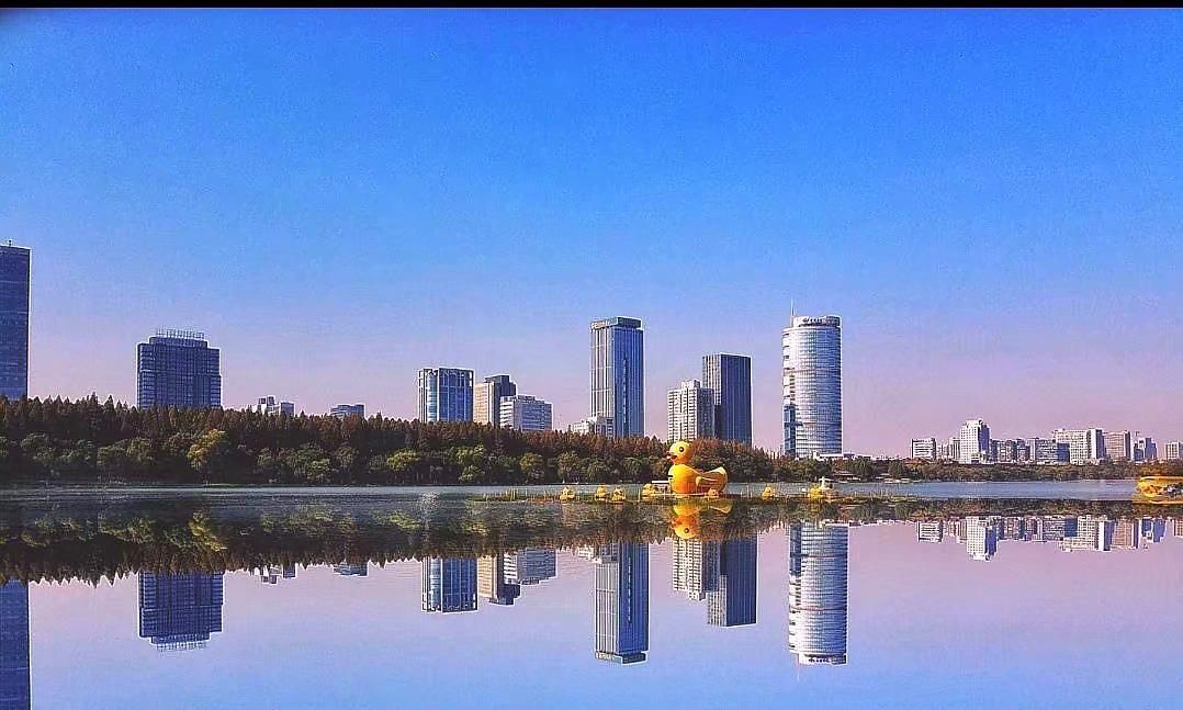  樱花：在南京，这座湖与西湖，南湖并称江南三大名湖，如今樱花盛开