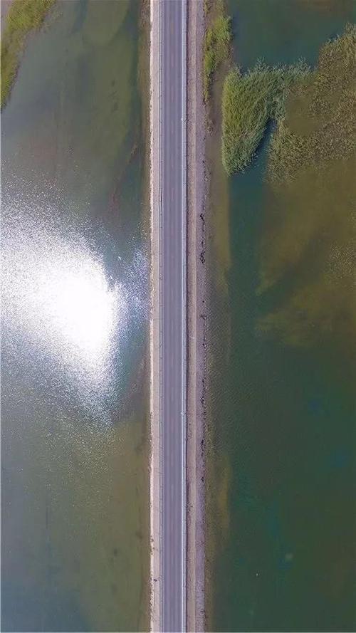 台特玛湖,塔里木河输水成湖!