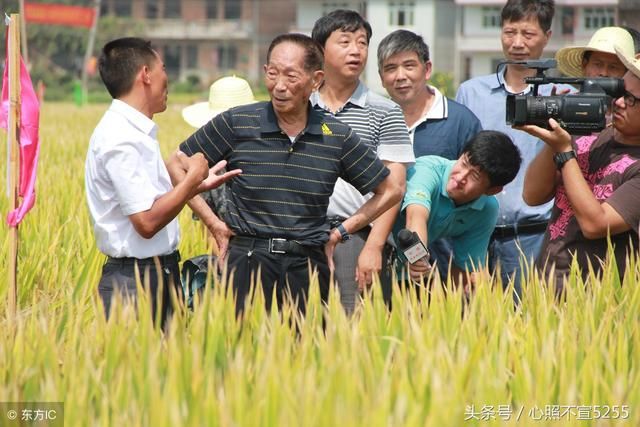 娱乐圈的婚姻有没必要天天炒，张馨予是不是该歇歇了！