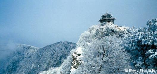 河南大范围的降雪已经到了, 小雪、中雪、大雪, 喜欢的赶紧来吧