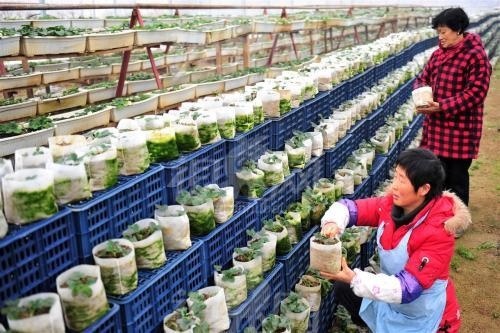  「待遇」农村地补陆续发放，看看哪些人的待遇会提高，哪些人将