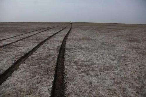 台特玛湖,塔里木河输水成湖!