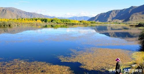 这个湖泊有上亿公斤的鱼，却没人敢捕捞！而且鱼量仍在增长