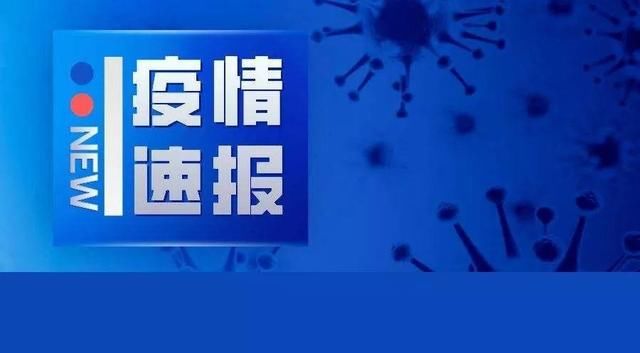  [呈现]为何呈现反弹？湖北省外新增的11例来自哪里，都是什么人