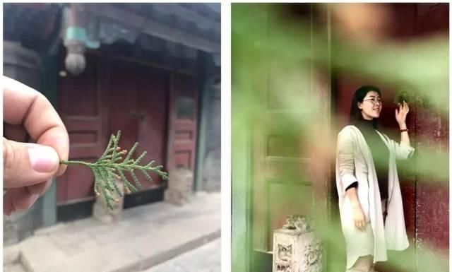 那些惊艳朋友圈的照片，竟然是这样拍出来的！