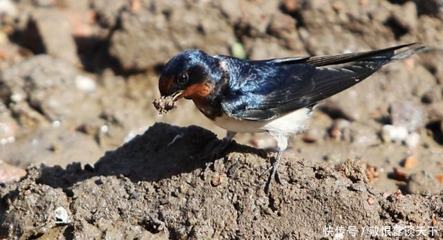 五大名山之一,华山的三大未解之谜,专家至今也都无法解释