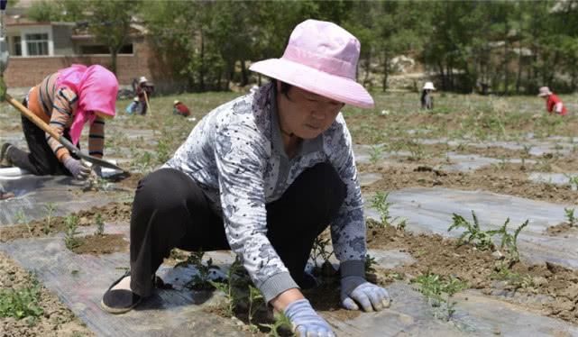 农村补贴将严查，三类人将会面临处理！一类人将取消补贴！