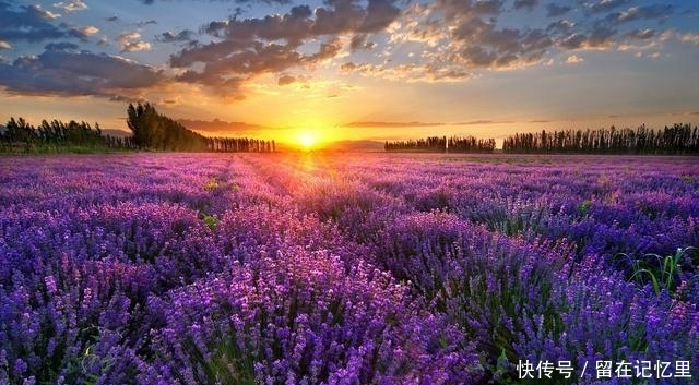 人生必去的55个地方，你去了多少