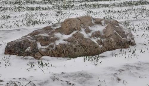 世界最小的山，海拔0.6米在当地属于最高山，在国内还禁止攀爬？