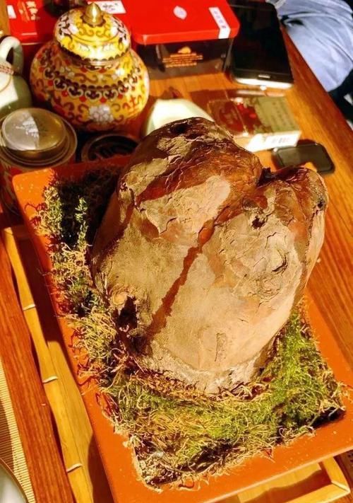  朱顶红：看见这花可别买，忍住，小心被忽悠，花钱买气受！