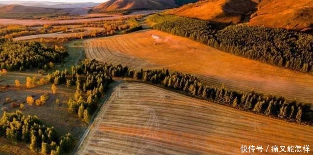 有一种美，叫阿尔山的秋