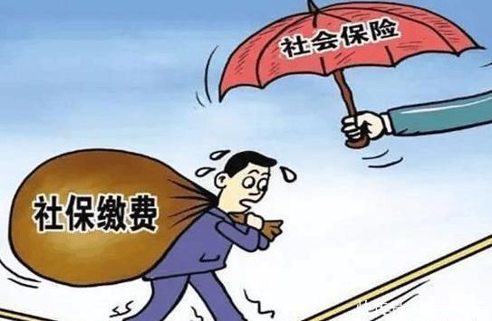  养老金：个人社保每月要900多元，如果我们买不起，该怎么办？