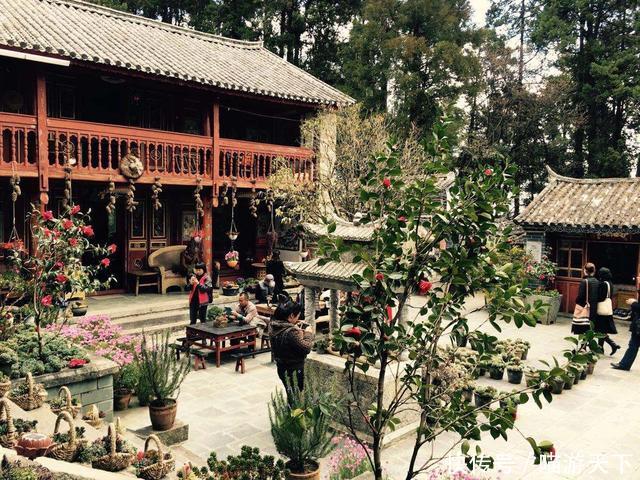 云南藏着一座中国最美的尼姑庵,只种花不烧香!游客慕名而来