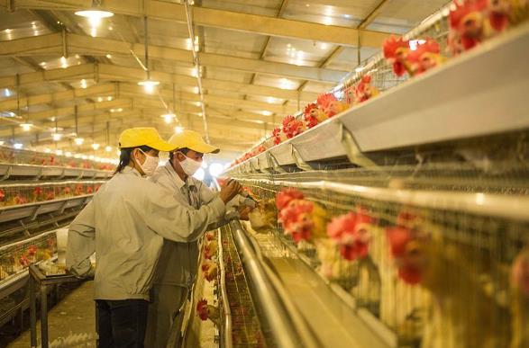  他白手起家，用4年时间，实现了从打工仔到民营企业家的跨越