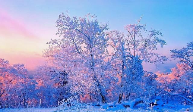 冬天正确打开方式：中国四大自然奇观之一，雾凇岛并不是“照骗”