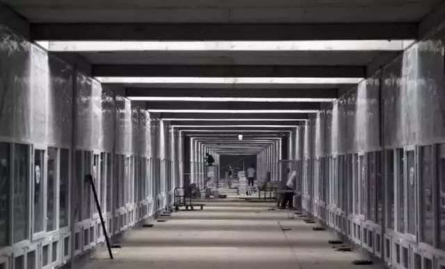  章丘区：这个恐怖工厂：养10亿只蟑螂，每天喂50吨饭（饭前慎入