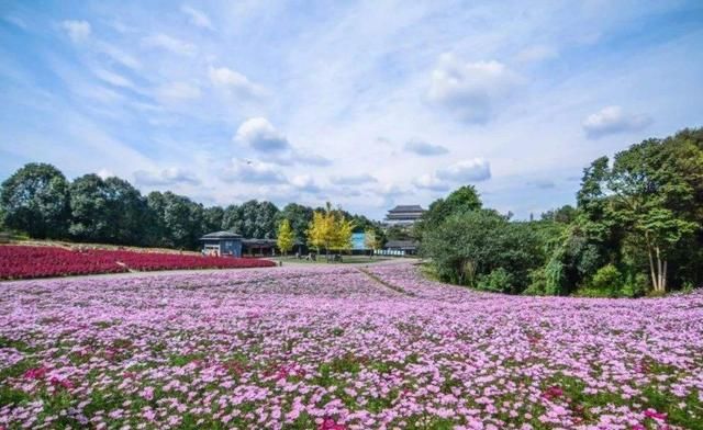 成都出发坐高铁/动车1小时直达!这15个短途旅行圣地等你去打卡(