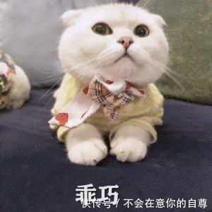 『把自己』划重点:什么脚就选什么凉鞋