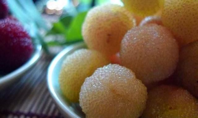 农村一种野果，有“果中玛瑙”的美誉，120元1斤农民的致富果