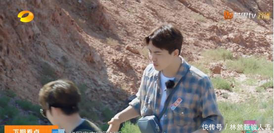 亲爱的客栈第三季张翰退出